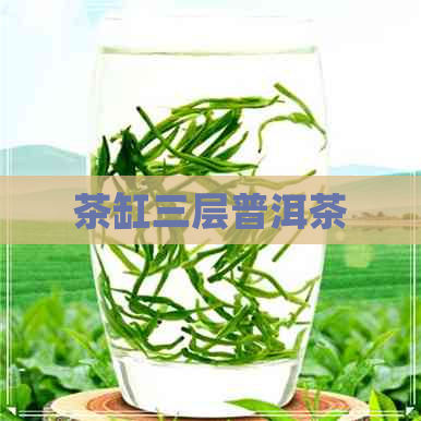 茶缸三层普洱茶