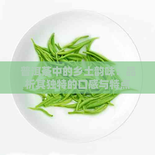 普洱茶中的乡土韵味：品析其独特的口感与特点