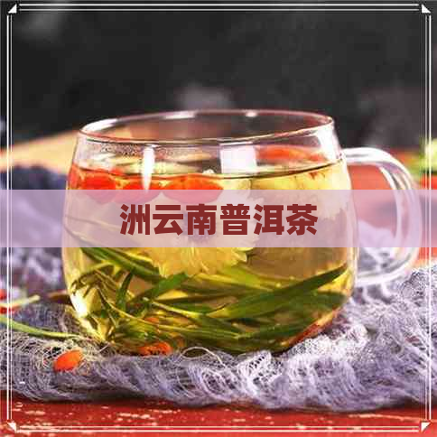 洲云南普洱茶