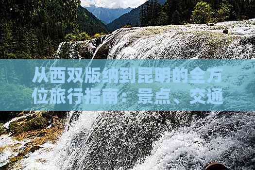 从西双版纳到昆明的全方位旅行指南：景点、交通、住宿和美食一应俱全