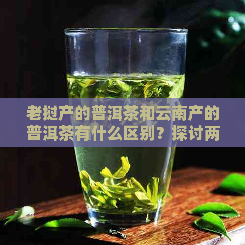 老挝产的普洱茶和云南产的普洱茶有什么区别？探讨两国茶叶特色差异