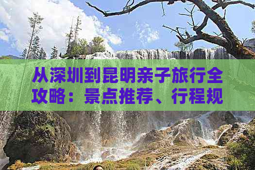 从深圳到昆明亲子旅行全攻略：景点推荐、行程规划、住宿及交通指南