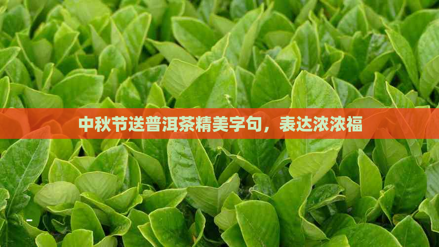 中秋节送普洱茶精美字句，表达浓浓福