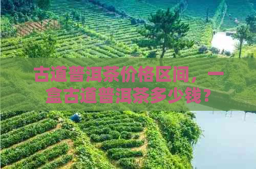 古道普洱茶价格区间，一盒古道普洱茶多少钱？