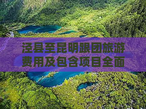 泾县至昆明跟团旅游费用及包含项目全面解析，助您轻松规划完美之旅