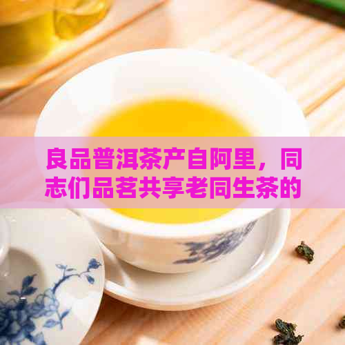 良品普洱茶产自阿里，同志们品茗共享老同生茶的滋味