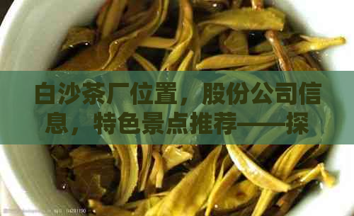 白沙茶厂位置，股份公司信息，特色景点推荐——探索白沙茶厂不可错过的地方