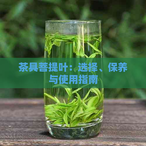 茶具菩提叶：选择、保养与使用指南