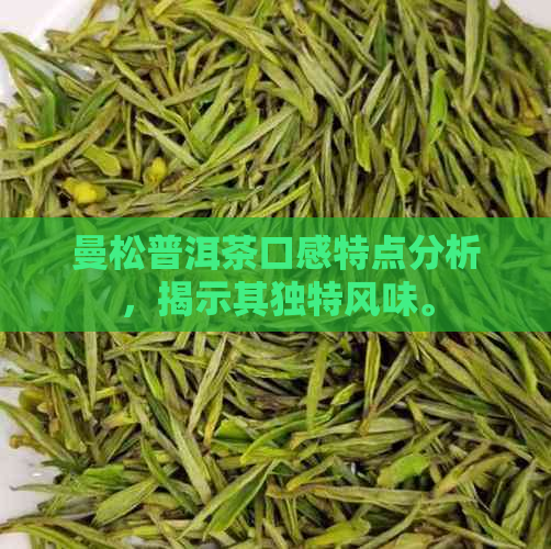 曼松普洱茶口感特点分析，揭示其独特风味。