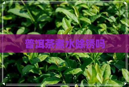 普洱茶煮水除锈吗