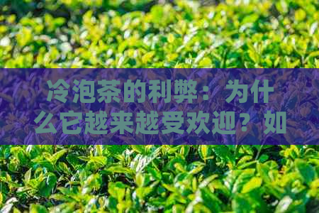 冷泡茶的利弊：为什么它越来越受欢迎？如何正确冲泡和保存？