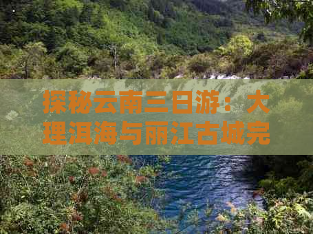 探秘云南三日游：大理洱海与丽江古城完美结合的自由行攻略