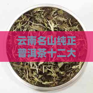 云南名山纯正普洱茶十二大系列：探究古树生茶的价格与品质