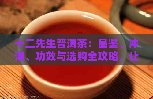 十二先生普洱茶：品鉴、冲泡、功效与选购全攻略，让你轻松成为普洱茶专家