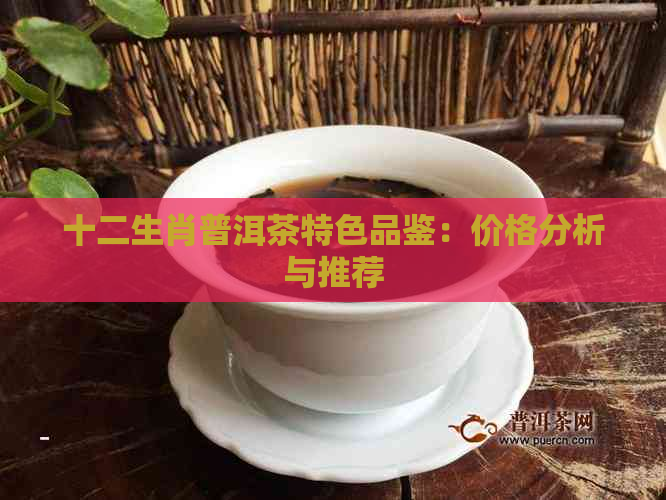 十二生肖普洱茶特色品鉴：价格分析与推荐