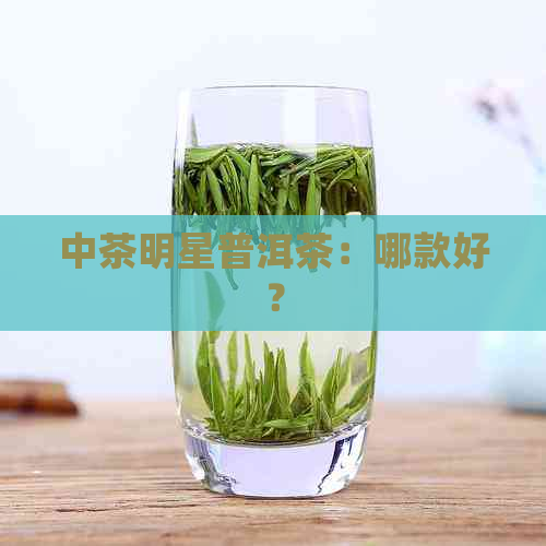 中茶明星普洱茶：哪款好？