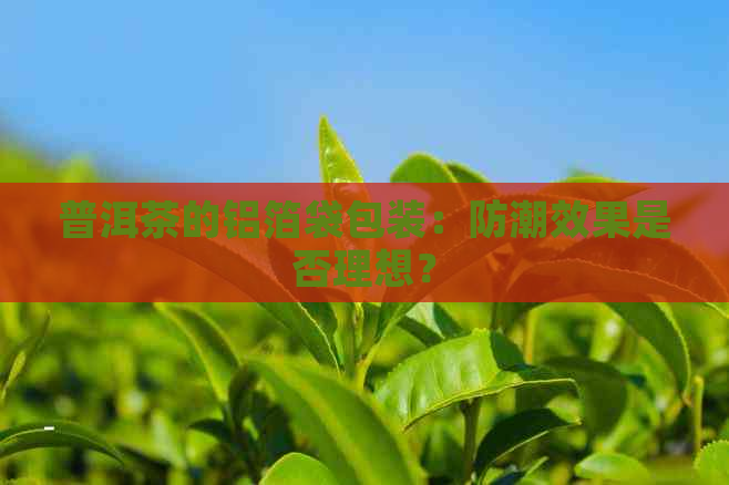 普洱茶的铝箔袋包装：防潮效果是否理想？