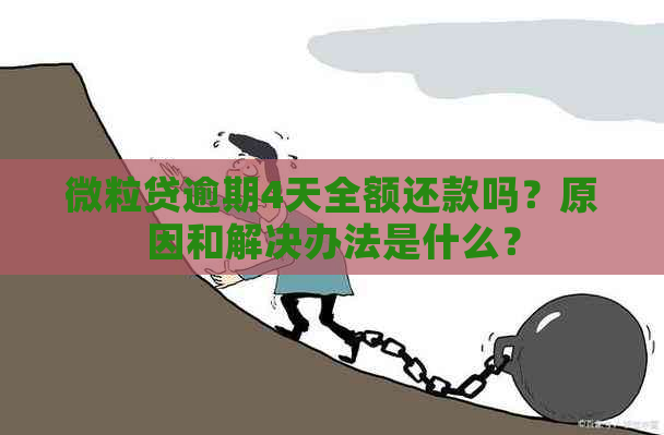 微粒贷逾期4天全额还款吗？原因和解决办法是什么？