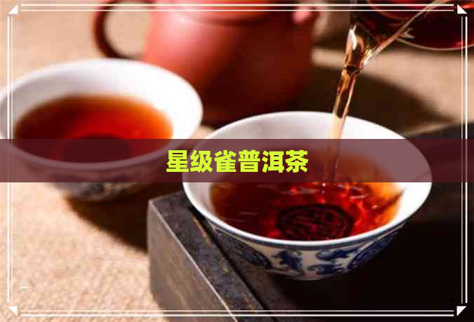 星级雀普洱茶