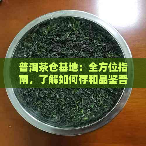 普洱茶仓基地：全方位指南，了解如何存和品鉴普洱茶