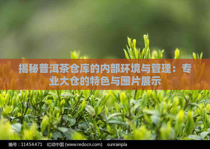 揭秘普洱茶仓库的内部环境与管理：专业大仓的特色与图片展示