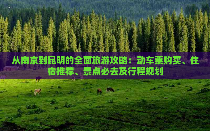 从南京到昆明的全面旅游攻略：动车票购买、住宿推荐、景点必去及行程规划