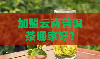 加盟云南普洱茶哪家好？