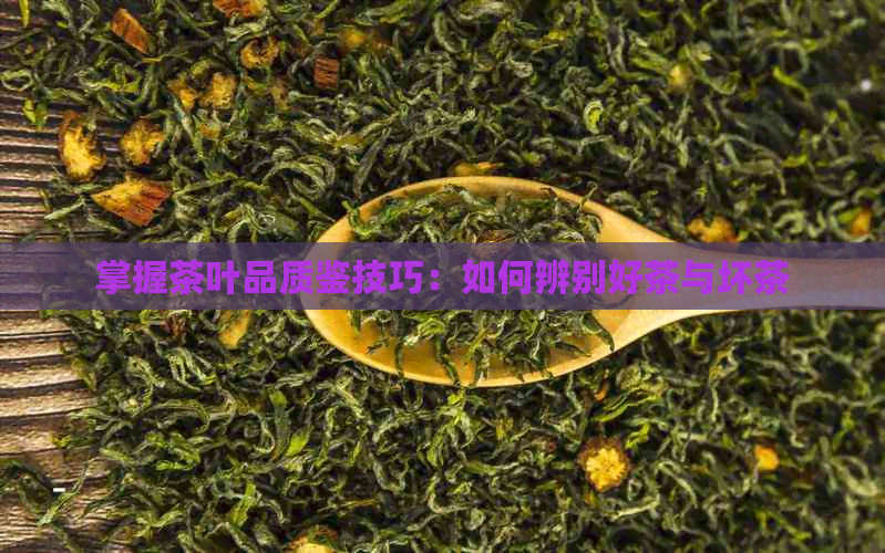 掌握茶叶品质鉴技巧：如何辨别好茶与坏茶