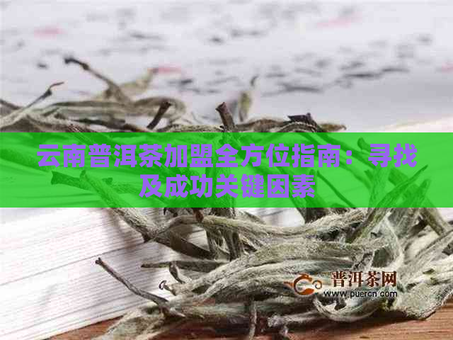 云南普洱茶加盟全方位指南：寻找及成功关键因素