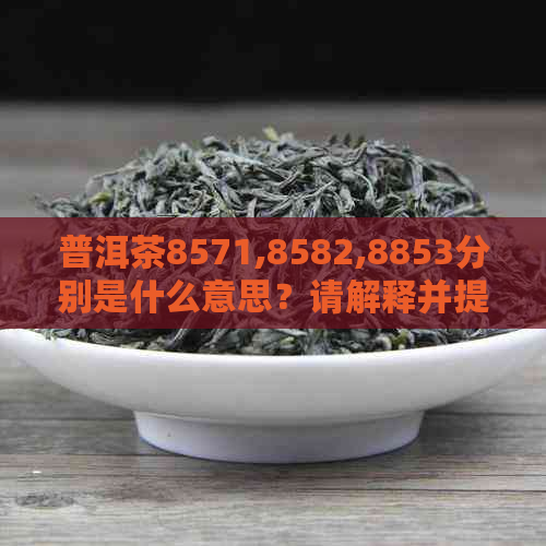 普洱茶8571,8582,8853分别是什么意思？请解释并提供相关信息。