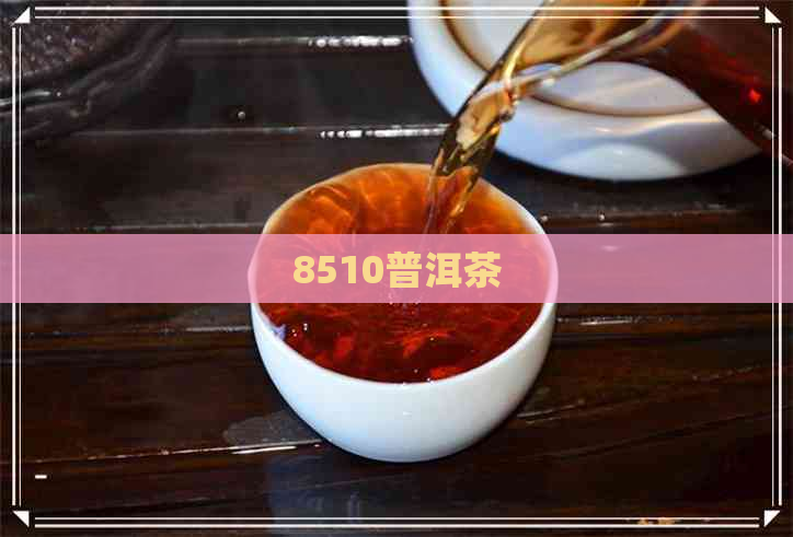 8510普洱茶