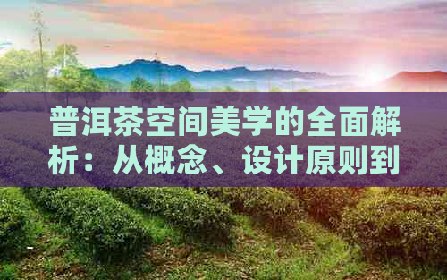 普洱茶空间美学的全面解析：从概念、设计原则到应用案例探讨