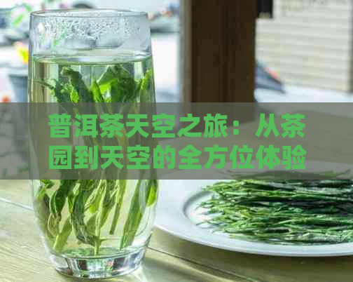 普洱茶天空之旅：从茶园到天空的全方位体验