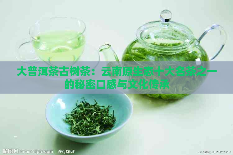 大普洱茶古树茶：云南原生态十大名茶之一的秘密口感与文化传承