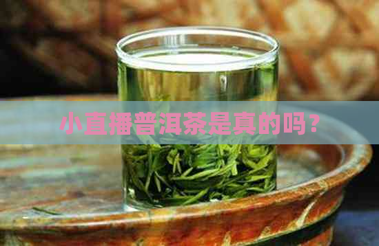 小直播普洱茶是真的吗？