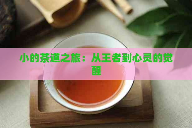 小的茶道之旅：从王者到心灵的觉醒