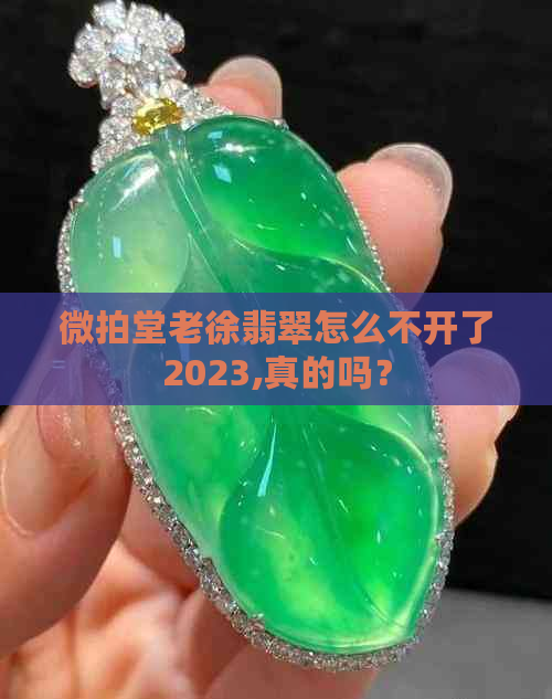 微拍堂老徐翡翠怎么不开了2023,真的吗？