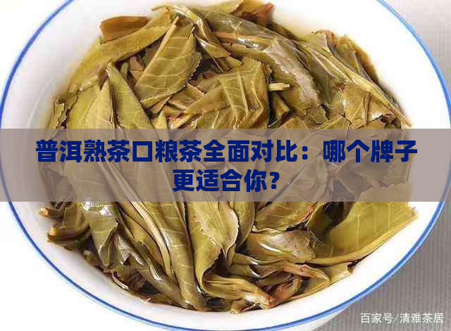 普洱熟茶口粮茶全面对比：哪个牌子更适合你？