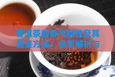 普洱茶的香气特性及其品鉴方法：全面解析与指南