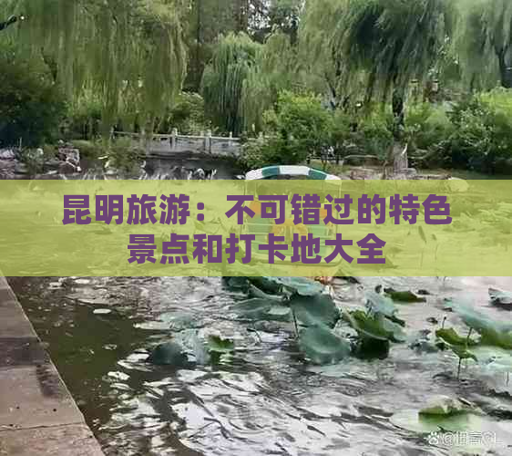 昆明旅游：不可错过的特色景点和打卡地大全