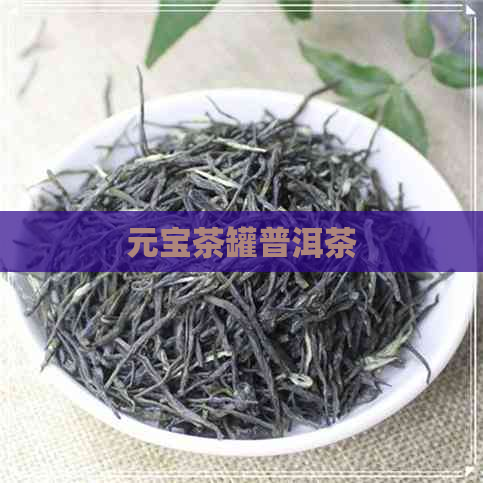 元宝茶罐普洱茶