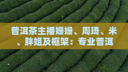 普洱茶主播姗姗、周琦、米、胖姐及框架：专业普洱茶解说人物全解析