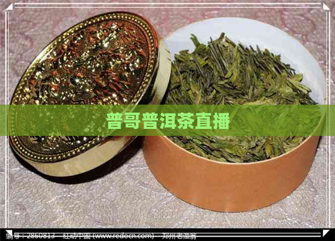 普哥普洱茶直播