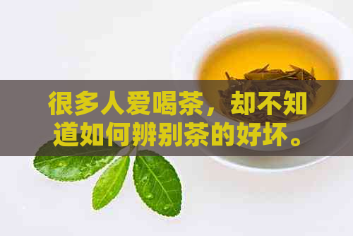 很多人爱喝茶，却不知道如何辨别茶的好坏。