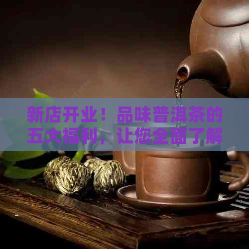 新店开业！品味普洱茶的五大福利，让您全面了解普洱茶的世界