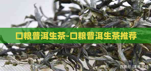 口粮普洱生茶-口粮普洱生茶推荐