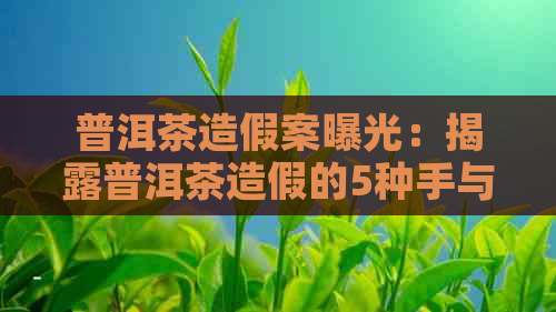 普洱茶造假案曝光：揭露普洱茶造假的5种手与案例分析