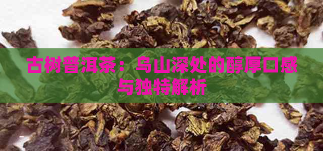 古树普洱茶：乌山深处的醇厚口感与独特解析