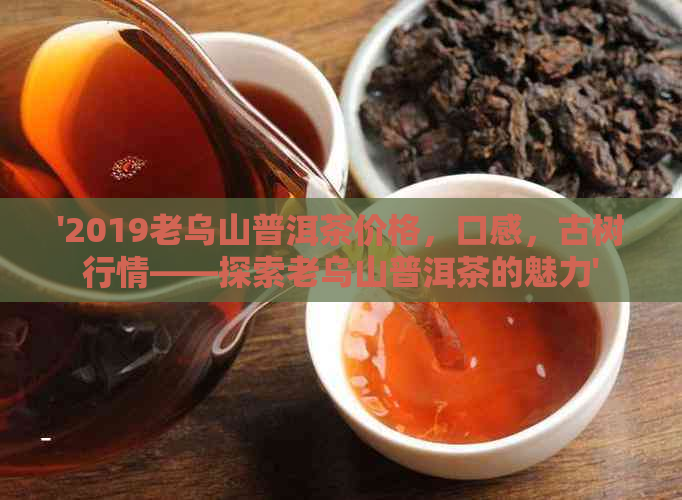 '2019老乌山普洱茶价格，口感，古树行情——探索老乌山普洱茶的魅力'