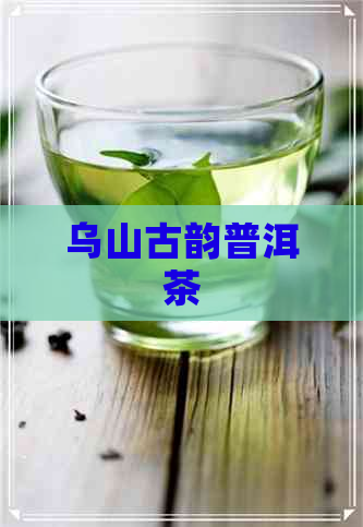 乌山古韵普洱茶